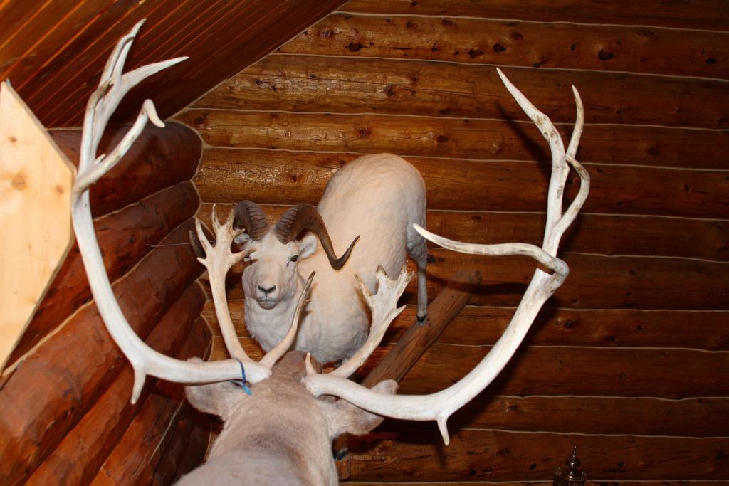 Wise Old Hunter Lodge Anchor Point Стая снимка
